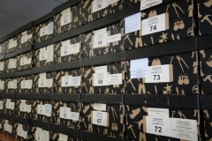05-INL-Herbarium