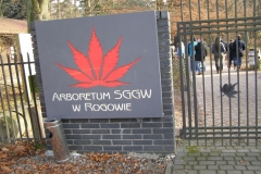 20211118-02 Zwiedzanie Arboretum SGGW w Rogowie