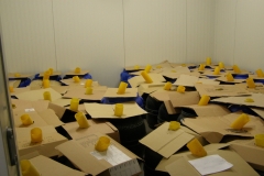 20211118-16 Magazyn przechowywanych nasion drzew