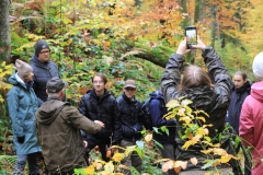 20231023-Bieszczady-05
