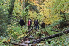 20231023-Bieszczady-06