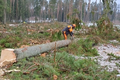 20240129 Zajęcia terenowe studentów leśnictwa PB