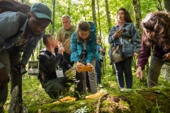 International Mushroom Summer School IMSS2022. Fot. Piotr Awramiuk