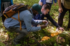 International Mushroom Summer School IMSS2022. Fot. Piotr Awramiuk