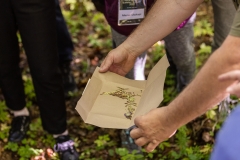 International Mushroom Summer School IMSS2022. Fot. Piotr Awramiuk