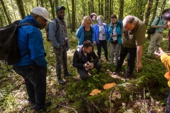 International Mushroom Summer School IMSS2022. Fot. Piotr Awramiuk