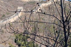 Wielki Mur - fragment Muru ok. 100km od Pekinu