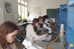20230515- XIX Podlaski Festiwal Nauki i Sztuki na WBiNŚ