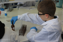 20260206-Zajęcia Podlaskiego Uniwersytetu Dziecięcego