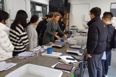 Zajęcia ze studentami kierunku Civil Engineering prowadzone w Tianjin Chengjian University, listopad 2024